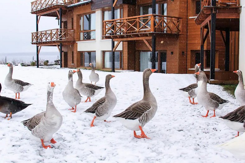 Temporary rental Bariloche Dina Huapi Lake Front